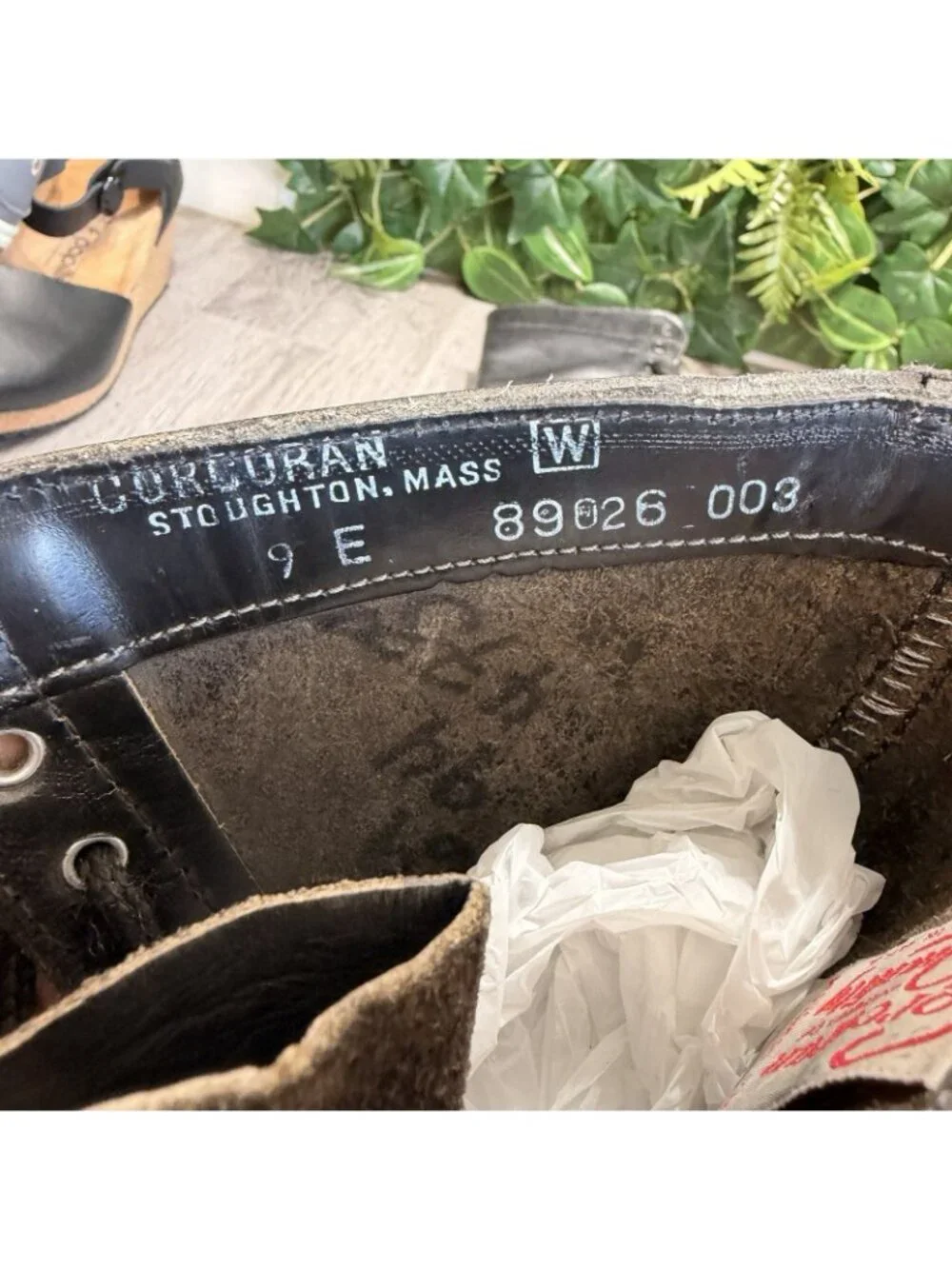 Corcoran please check